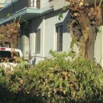 Πάτρα: Κλαδιά και οδικά εμπόδια πάνω από το νοσοκομείο «Άγιος Ανδρέας» ΦΩΤΟ