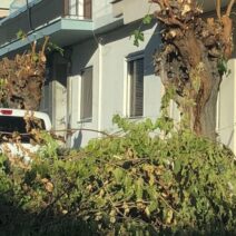 Πάτρα: Κλαδιά και οδικά εμπόδια πάνω από το νοσοκομείο «Άγιος Ανδρέας» ΦΩΤΟ 2 Πάτρα: Κλαδιά και οδικά εμπόδια πάνω από το νοσοκομείο «Άγιος Ανδρέας» ΦΩΤΟ