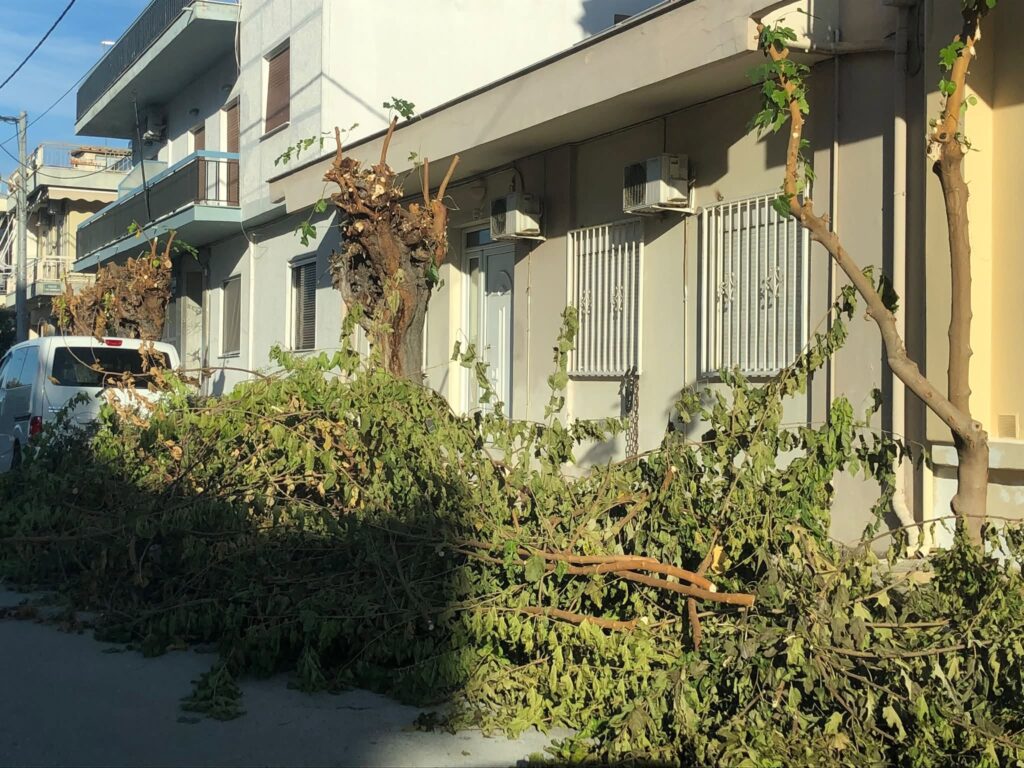Πάτρα: Κλαδιά και οδικά εμπόδια πάνω από το νοσοκομείο «Άγιος Ανδρέας» ΦΩΤΟ