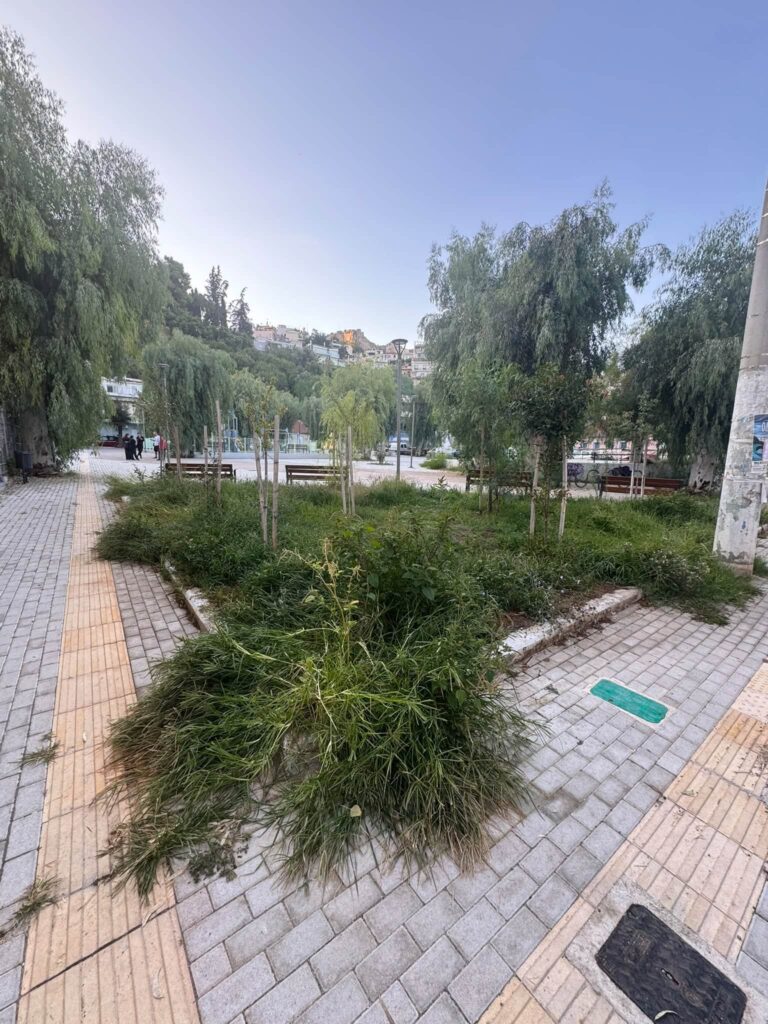 Βλατερό: Παραδόθηκε η πλατεία αλλά την παράτησαν και γέμισε αμέσως χόρτα ΦΩΤΟ