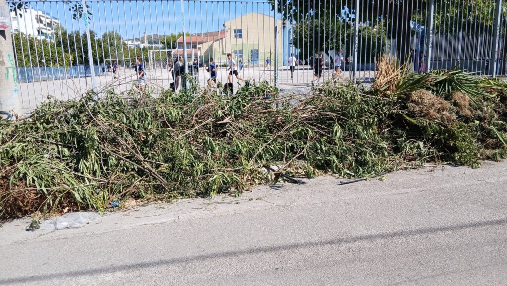 Πάτρα: «Βουνό» από ξερόκλαδα κλείνουν πεζοδρόμιο έξω από σχολεία ΦΩΤΟ 6 Πάτρα: «Βουνό» από ξερόκλαδα κλείνουν πεζοδρόμιο έξω από σχολεία ΦΩΤΟ