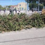 Πάτρα: «Βουνό» από ξερόκλαδα κλείνουν πεζοδρόμιο έξω από σχολεία ΦΩΤΟ