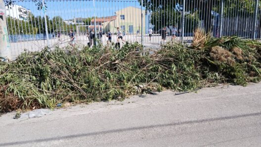Πέζο δρόμος στην Πάτρα κλεισμένος από ξερές κλαδώσεις, μπροστά από…