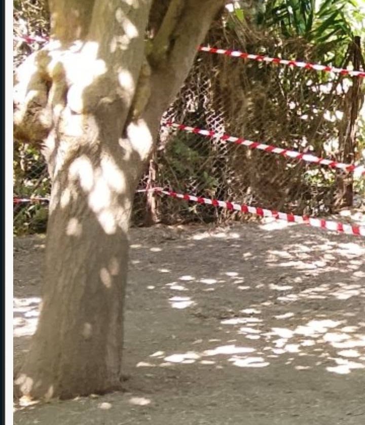 Πάτρα: Σοκάρουν οι εικόνες στο «ακατάλληλο» 9ο Νηπιαγωγείο – «Εγκληματική» αμέλεια στις καταγγελίες γονέων από 16 Σεπτεμβρίου ΦΩΤΟ