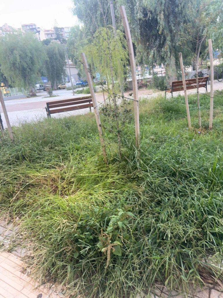 Βλατερό: Παραδόθηκε η πλατεία αλλά την παράτησαν και γέμισε αμέσως χόρτα ΦΩΤΟ