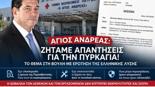 «Άγιος Ανδρέας: Ζητάμε απαντήσεις για την πυρκαγιά – Το θέμα στη Βουλή!» 12 «Άγιος Ανδρέας: Ζητάμε απαντήσεις για την πυρκαγιά – Το θέμα στη Βουλή!»