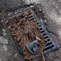 Πάτρα: «Καμπανάκι» για τα φρεάτια - Πνιγμένα σε κλαδιά και σκουπίδια ΦΩΤΟ 1 Πάτρα: «Καμπανάκι» για τα φρεάτια - Πνιγμένα σε κλαδιά και σκουπίδια ΦΩΤΟ