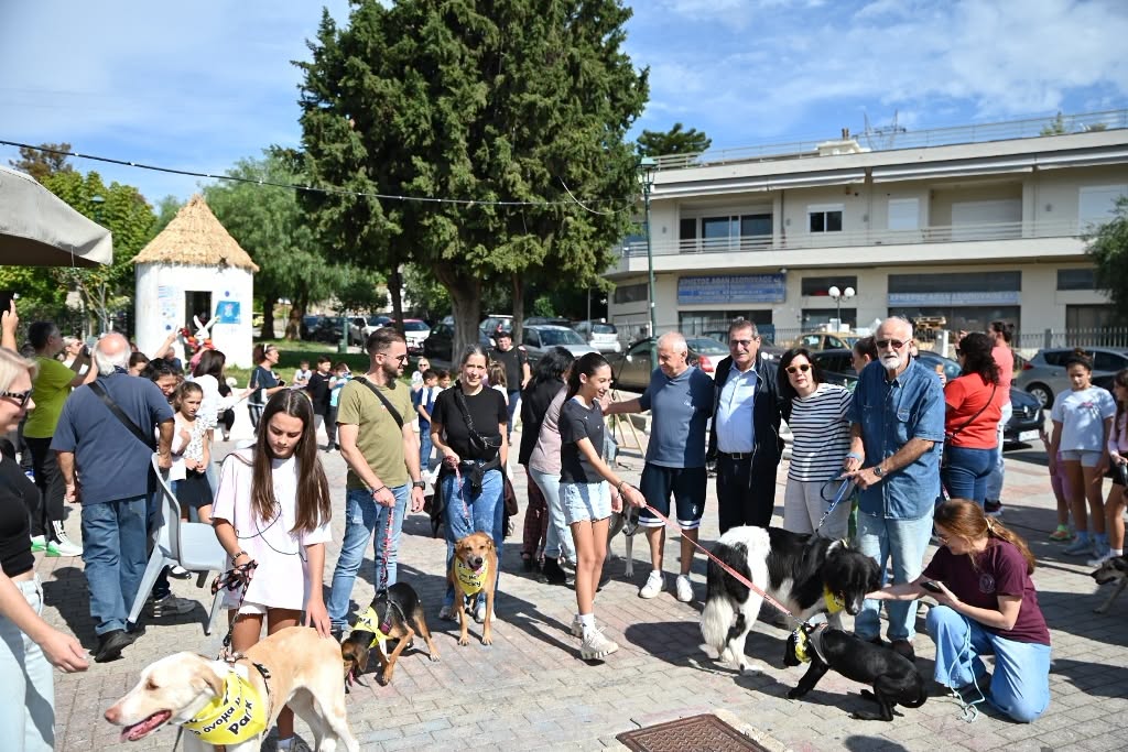 Εδήλωση αφιερωμένη στα ζώα από τον Δήμο Πατρέων και το Καταφύγιο Αδέσποτων ΦΩΤΟ 11 Εδήλωση αφιερωμένη στα ζώα από τον Δήμο Πατρέων και το Καταφύγιο Αδέσποτων ΦΩΤΟ