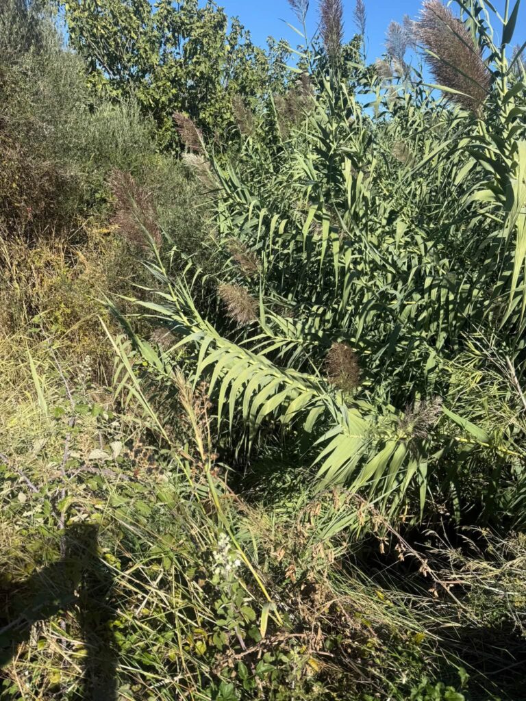 Λουσικά: Αυτοψία Φαρμάκη στα έργα που εκτελούνται στο ποτάμι ΦΩΤΟ