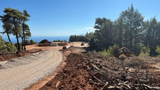 Ζήρια: Δικαιοσύνη και Δικηγόροι Αιγίου ελέγχουν τον Δασάρχη Πατρών - Για εκχέρσωση δάσους και έγκριση ανεμογεννήτριας