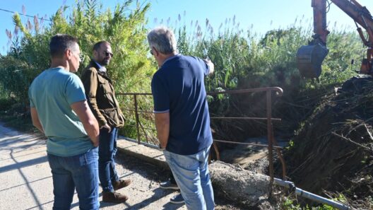 Αχαγιά: Πρόοδος στα αντιπλημμυρικά έργα σε ρέματα μετά τις πυρκαγιές ΦΩΤΟ 13 Αχαγιά: Πρόοδος στα αντιπλημμυρικά έργα σε ρέματα μετά τις πυρκαγιές ΦΩΤΟ
