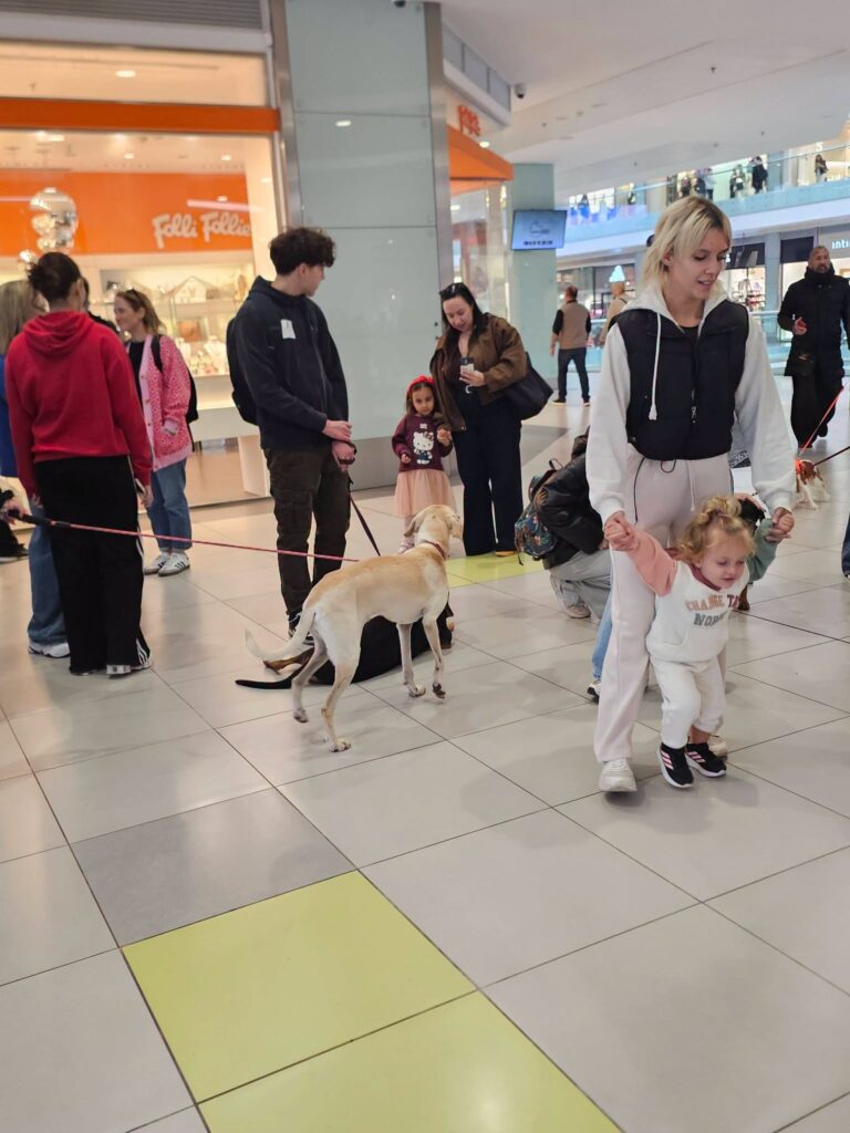 Αδέσποτα σκυλάκια από το Αίγιο στο Athens Metro Mall ΦΩΤΟ 9 Αδέσποτα σκυλάκια από το Αίγιο στο Athens Metro Mall ΦΩΤΟ