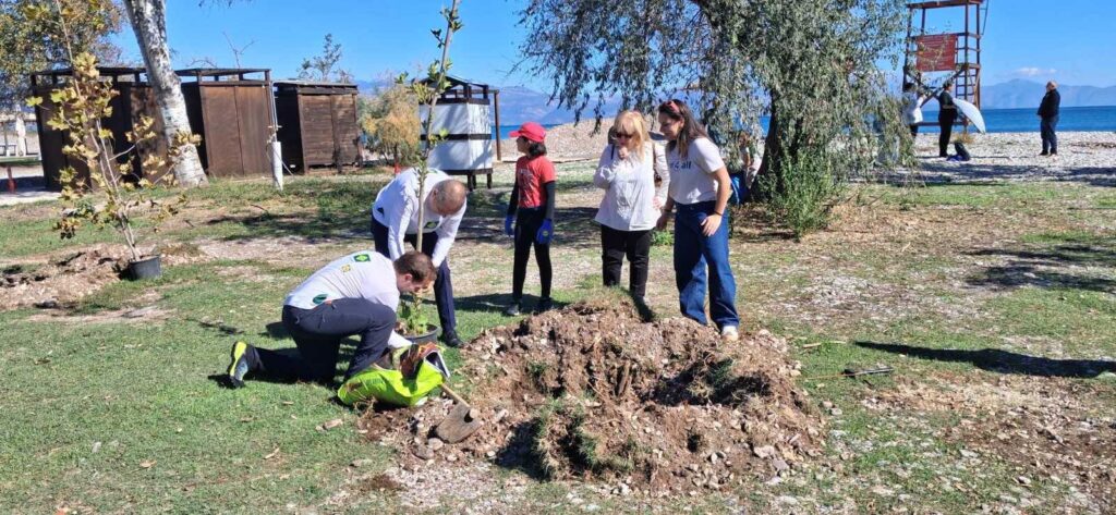 Δενδροφύτευση στην παραλία Ριζόμυλου από Lidl, We4All και Δήμο BINTEO-ΦΩΤΟ
