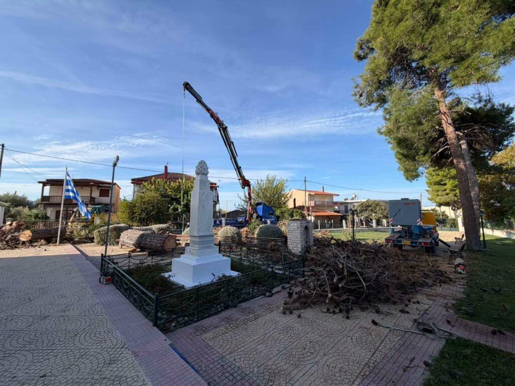 Άνω Αλισσός: Παρέμβαση της Πολιτικής Προστασίας για επικίνδυνο δέντρο ΦΩΤΟ