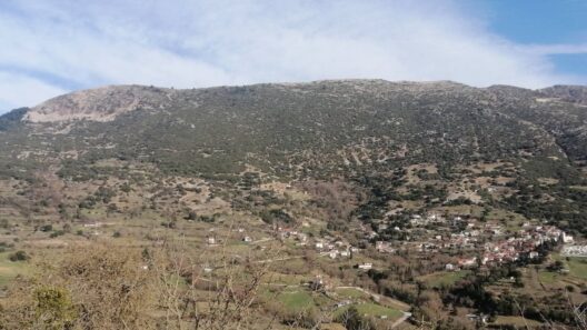 Παναχαϊκό: Αποκαλύψεις για την αδειοδότηση Αιολικού Σταθμού - Στη θέση «Ορνιθοκάθισμα» Λεοντίου 13 Παναχαϊκό: Αποκαλύψεις για την αδειοδότηση Αιολικού Σταθμού - Στη θέση «Ορνιθοκάθισμα» Λεοντίου