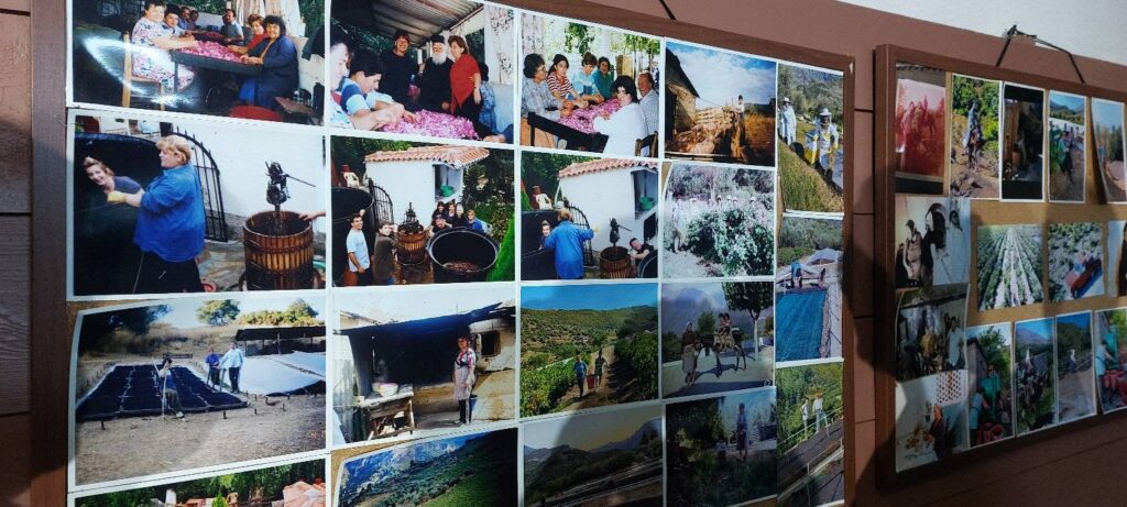 Εκδήλωση για τη «Γυναίκα Αγρότισσα και το Δημογραφικό» στα Μελίσσια Αιγίου ΒΙΝΤΕΟ-ΦΩΤΟ