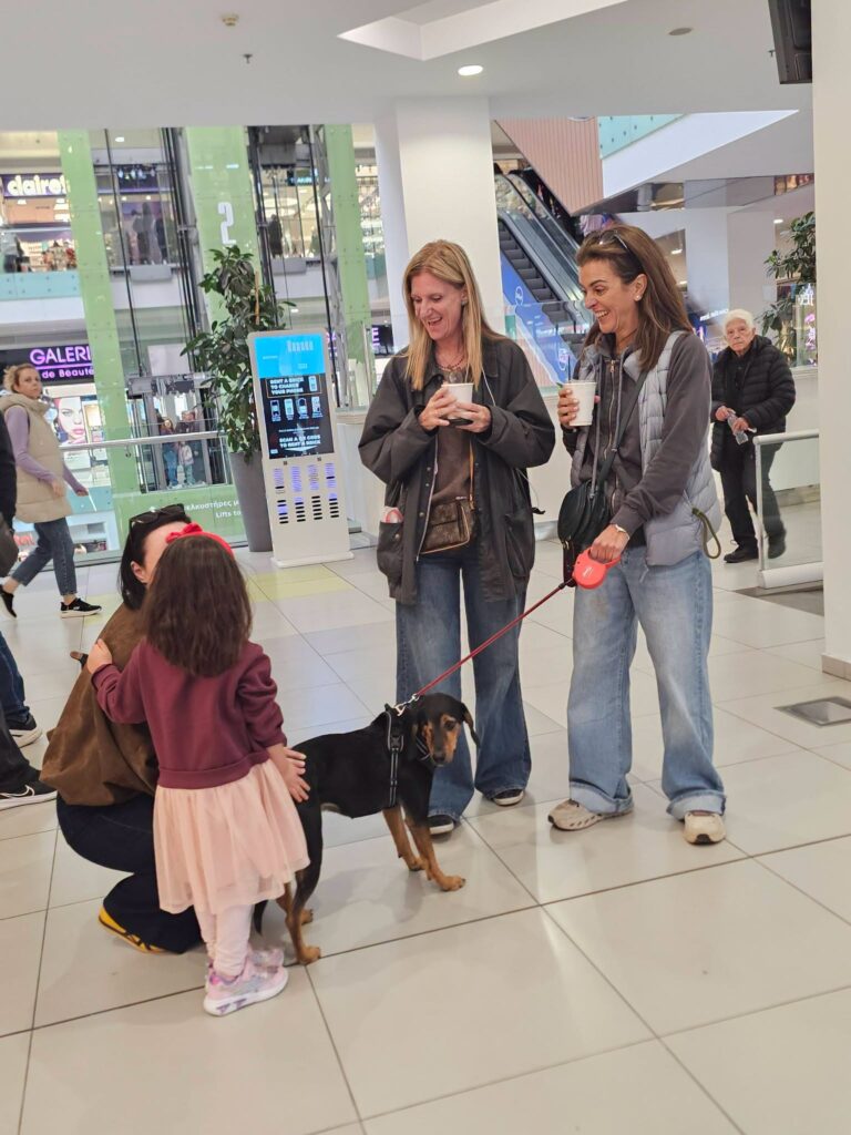 Αδέσποτα σκυλάκια από το Αίγιο στο Athens Metro Mall ΦΩΤΟ 7 Αδέσποτα σκυλάκια από το Αίγιο στο Athens Metro Mall ΦΩΤΟ