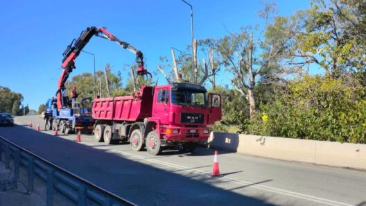 Αχαΐα: Κλαδέματα δέντρων στην Παλαιά Εθνική Οδό Αθηνών – Πατρών ΦΩΤΟ 12 Κλαδέματα δέντρων στη Παλαιά Εθνική Οδός στην Αχαΐα