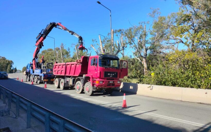 Κλαδέματα δέντρων στη Παλαιά Εθνική Οδός στην Αχαΐα