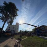 Άνω Αλισσός: Παρέμβαση της Πολιτικής Προστασίας για επικίνδυνο δέντρο ΦΩΤΟ