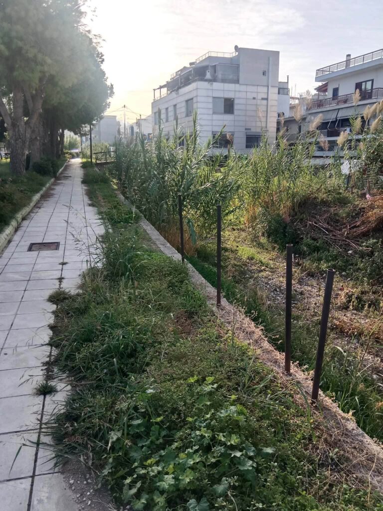 Πάτρα: Εικόνες εγκατάλειψης στον Διακονιάρη κατά μήκος της Βενιζέλου ΦΩΤΟ