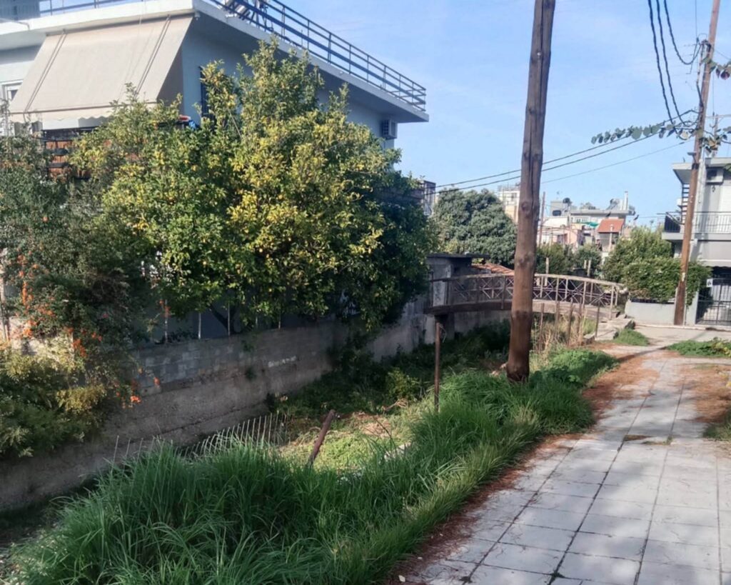Πάτρα: Εικόνες εγκατάλειψης στον Διακονιάρη κατά μήκος της Βενιζέλου ΦΩΤΟ