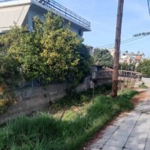 Πάτρα: Εικόνες εγκατάλειψης στον Διακονιάρη κατά μήκος της Βενιζέλου ΦΩΤΟ