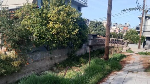 Πάτρα: Εικόνες εγκατάλειψης στον Διακονιάρη κατά μήκος της Βενιζέλου ΦΩΤΟ 18 Πάτρα: Εικόνες εγκατάλειψης στον Διακονιάρη κατά μήκος της Βενιζέλου ΦΩΤΟ