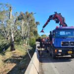 Αχαΐα: Κλαδέματα δέντρων στην Παλαιά Εθνική Οδό Αθηνών – Πατρών για ασφάλεια ΦΩΤΟ