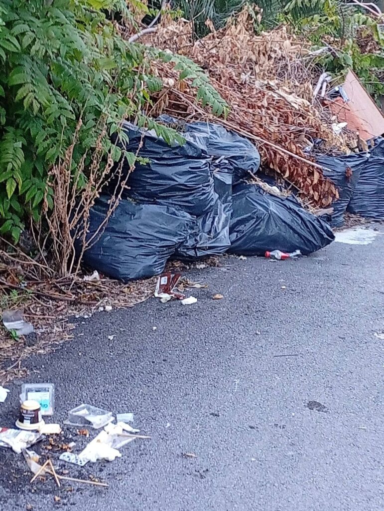 Πάτρα: Σκουπίδια και κλαδιά από τον Ιούνιο στα Ταμπάχανα ΒΙΝΤΕΟ-ΦΩΤΟ 5 Πάτρα: Σκουπίδια και κλαδιά από τον Ιούνιο στα Ταμπάχανα ΒΙΝΤΕΟ-ΦΩΤΟ