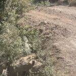 Ερύμανθος: Τοποθέτηση αγωγού σε ιδιωτικό δίκτυο για να εξυπηρετείται δημοτικός σύμβουλος;