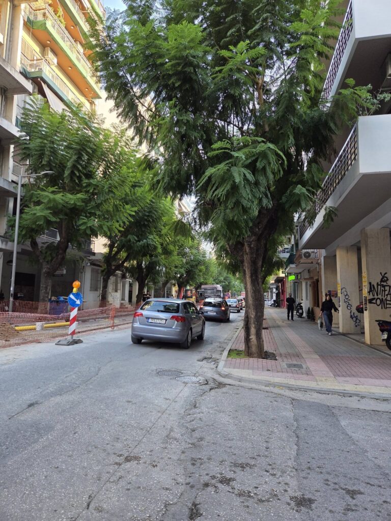 Πάτρα: Αστοχία υλικού και χώρου στη φύτευση δέντρων στην Αγίου Νικολάου ΦΩΤΟ 5 Πάτρα: Αστοχία υλικού και χώρου στη φύτευση δέντρων στην Αγίου Νικολάου ΦΩΤΟ