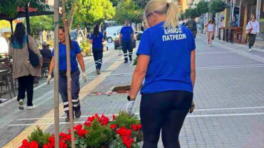 Πάτρα: Ανθοφορία και αισθητική αναβάθμιση στους νέους Πεζόδρομους ΦΩΤΟ 13 Πάτρα: Ανθοφορία και αισθητική αναβάθμιση στους νέους Πεζόδρομους ΦΩΤΟ