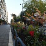 Πάτρα: Πράσινες παρεμβάσεις και μεταλλικές κατασκευές στον Πεζόδρομο της Μαιζώνος ΦΩΤΟ