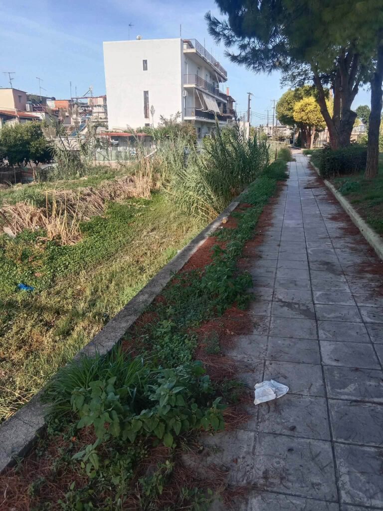 Πάτρα: Εικόνες εγκατάλειψης στον Διακονιάρη κατά μήκος της Βενιζέλου ΦΩΤΟ