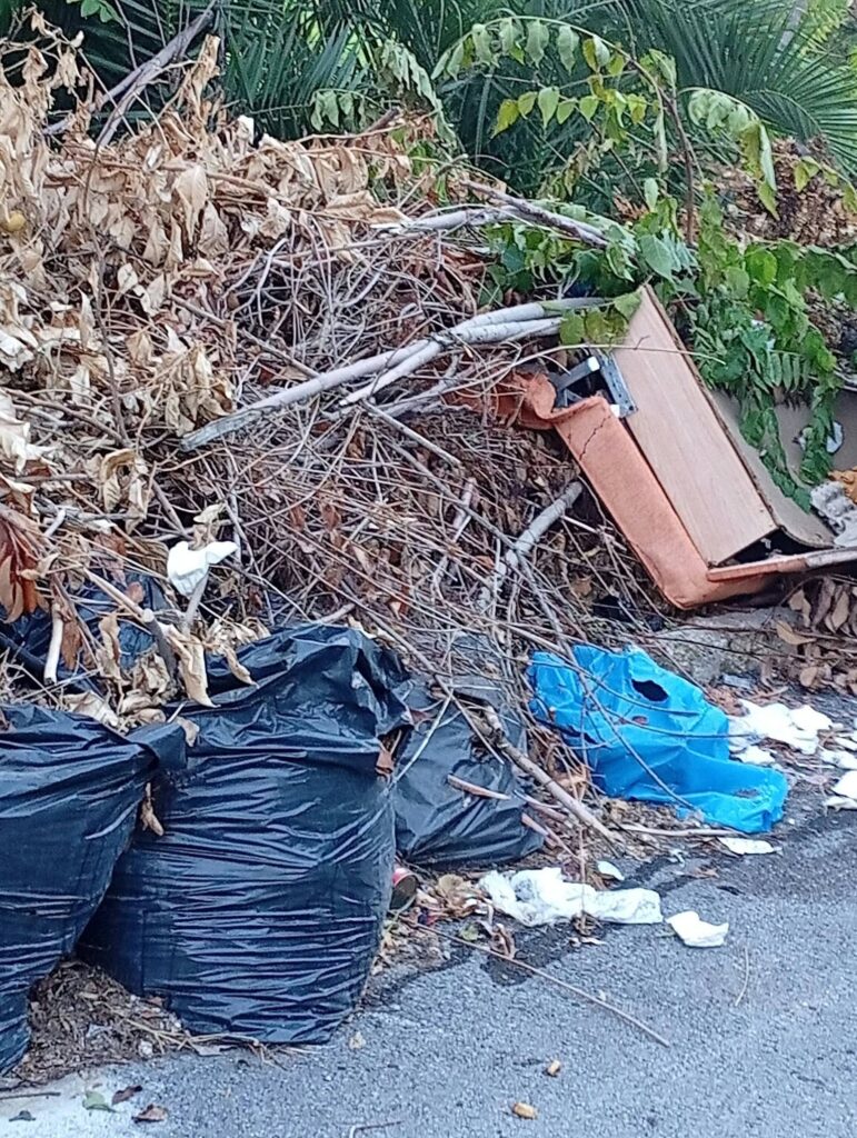 Πάτρα: Σκουπίδια και κλαδιά από τον Ιούνιο στα Ταμπάχανα ΒΙΝΤΕΟ-ΦΩΤΟ 6 Πάτρα: Σκουπίδια και κλαδιά από τον Ιούνιο στα Ταμπάχανα ΒΙΝΤΕΟ-ΦΩΤΟ