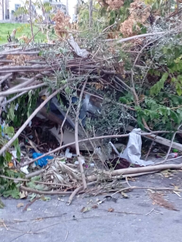 Πάτρα: Σκουπίδια και κλαδιά από τον Ιούνιο στα Ταμπάχανα ΒΙΝΤΕΟ-ΦΩΤΟ 9 Πάτρα: Σκουπίδια και κλαδιά από τον Ιούνιο στα Ταμπάχανα ΒΙΝΤΕΟ-ΦΩΤΟ