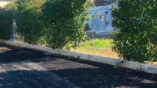 Ρωμανός: Επεσε άσφαλτος με σημαντική βελτίωση της καθημερινότητας ΦΩΤΟ 14 Ασφαλτοστρωμένη οδός με βελτιωμένη καθεμερινότητα
