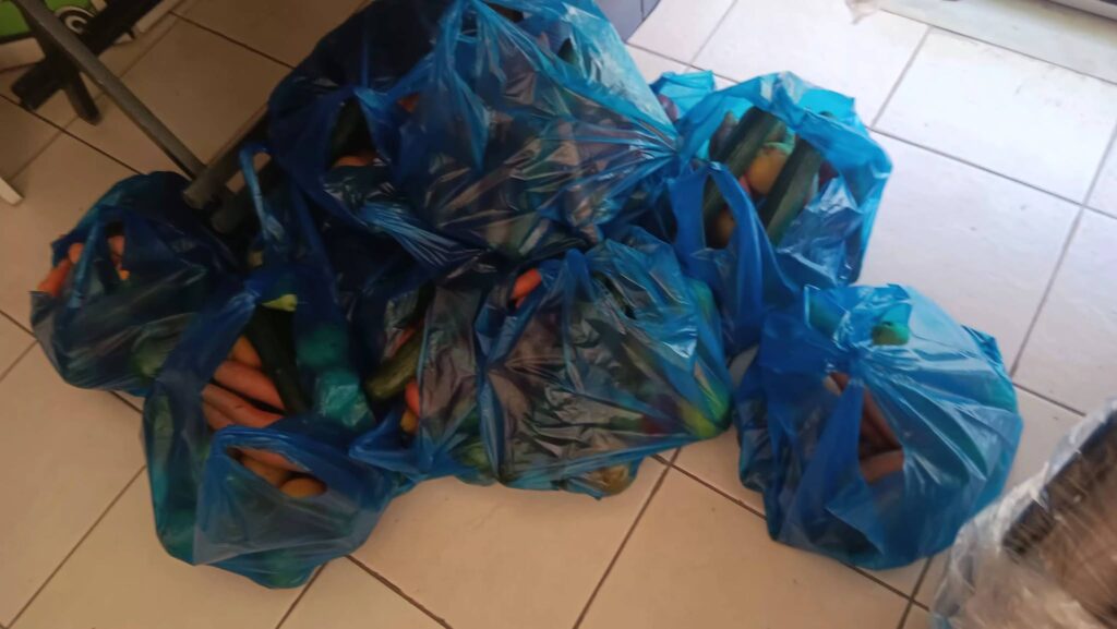 Νέα διανομή τροφίμων από το «Φωτεινό Αστέρι» ΦΩΤΟ
