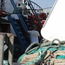 Αλιείς: Σε αναμονή για τις κυβερνητικές δεσμεύσεις – Ανοιχτό το ενδεχόμενο νέων κινητοποιήσεων