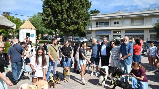 Διαφημιστική αφίσα στην Πάτρα που προωθεί την υιοθέτηση ζώων