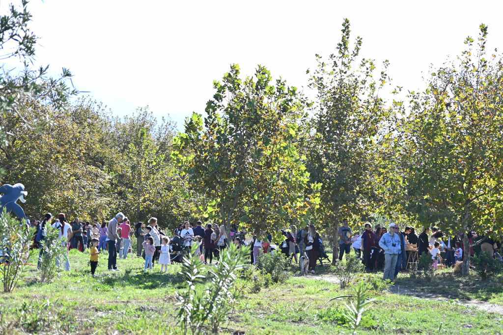 Πάτρα: Το Πλατανόδασος γέμισε ζωή - Μια ξεχωριστή εκδήλωση για μικρούς και μεγάλους ΦΩΤΟ