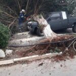 Ερύμανθος: Οδηγός έπεσε με το αυτοκίνητο σε δέντρο