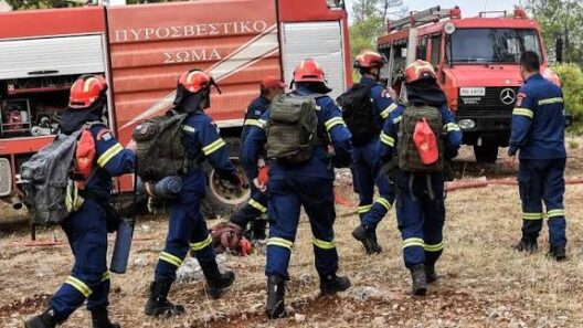 Αχαΐα: Επιχείρηση της Πυροσβεστικής στον Βουραϊκό - Για την ασφαλή απομάκρυνση οικογένειας