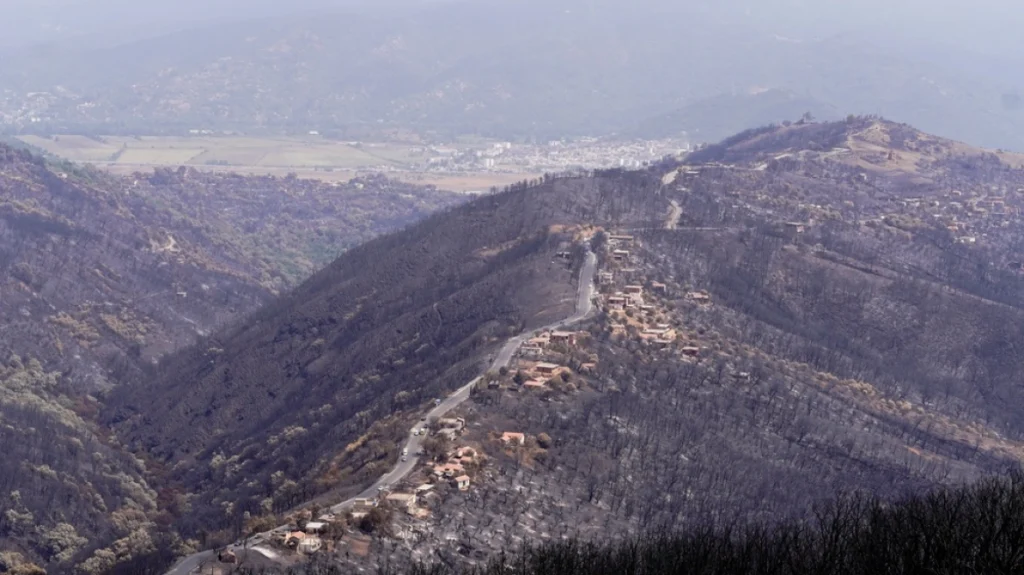 Αλγερία: Επεκτείνει τη θανατική ποινή σε εμπρηστές δασών