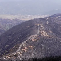 Αλγερία: Επεκτείνει τη θανατική ποινή σε εμπρηστές δασών 1 Αλγερία: Επεκτείνει τη θανατική ποινή σε εμπρηστές δασών