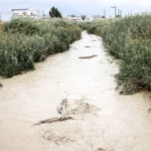 Κρήτη: Αυτοψίες και καταγραφή ζημιών από τον ΕΛΓΑ μετά τις ισχυρές βροχοπτώσεις 3 Κρήτη: Αυτοψίες και καταγραφή ζημιών από τον ΕΛΓΑ μετά τις ισχυρές βροχοπτώσεις