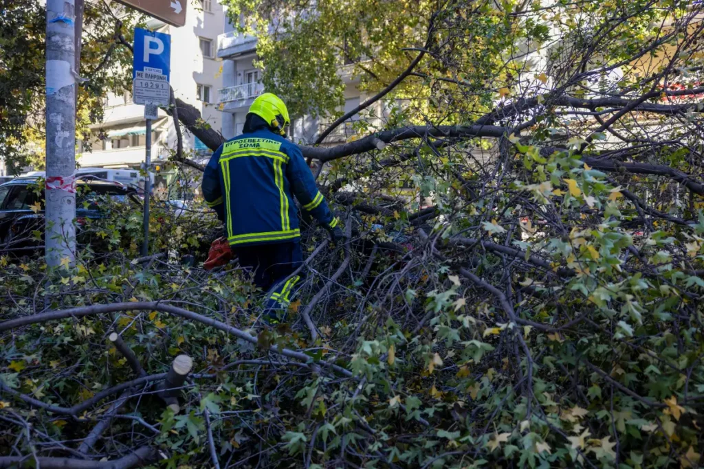 Κάλφα: Τον καταπλάκωσε δέντρο την ώρα που το έκοβε