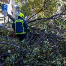 Κάλφα: Τον καταπλάκωσε δέντρο την ώρα που το έκοβε
