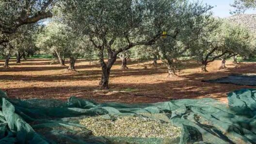 Ηλεία: Τραγική κατάληξη για 73χρονο μέσα στο χωράφι του 13 Ηλεία: Τραγική κατάληξη για 73χρονο μέσα στο χωράφι του